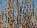 2008-10-11_Tiverton_Trustom 120